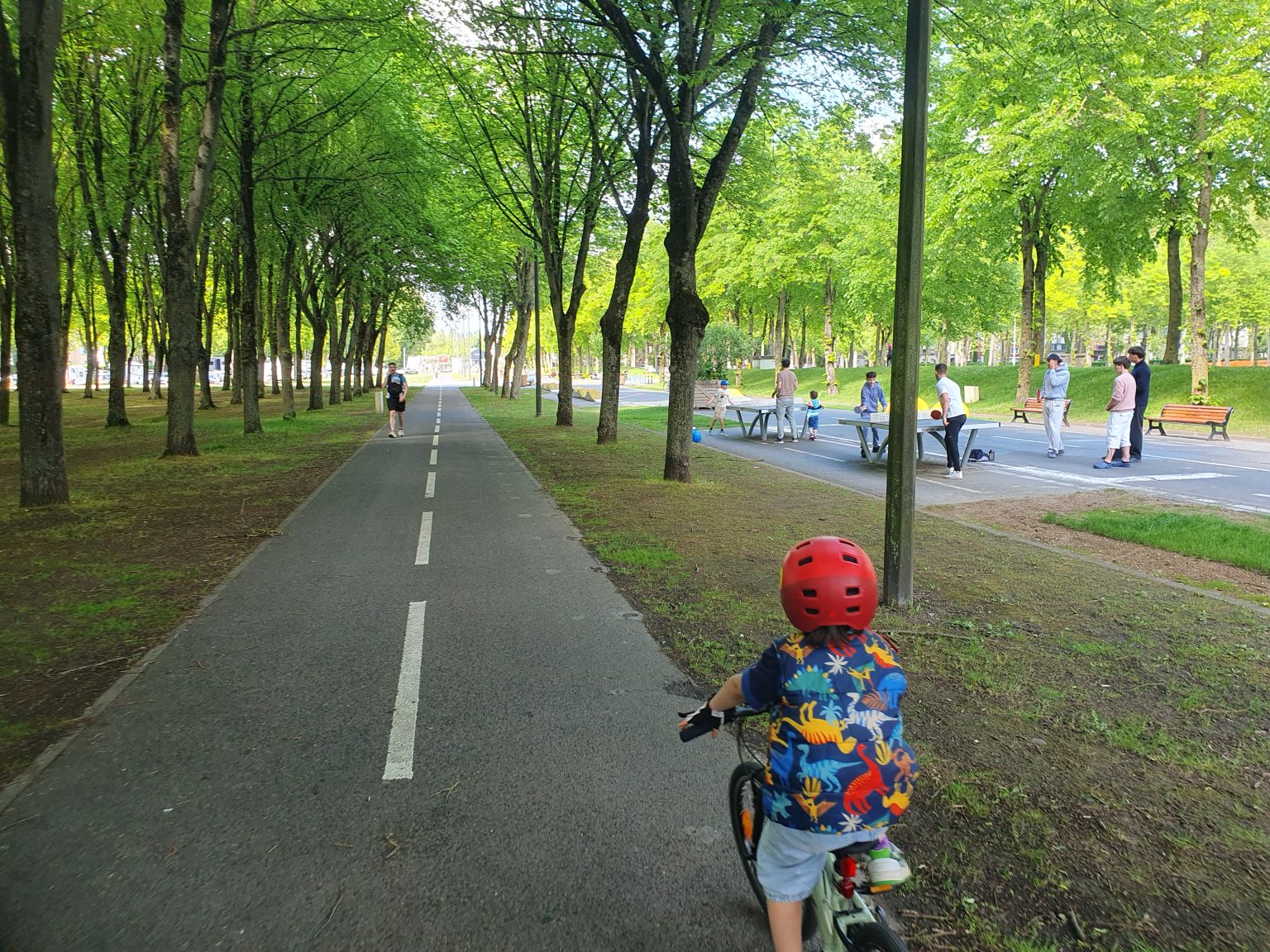 Notre contribution à l’enquête publique portant sur la requalification du parc de la Hotoie